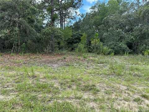1282 W HAMPSHIRE BOULEVARD, CITRUS SPRINGS, FL 34434