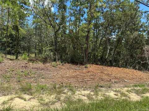955 W HAMPSHIRE BOULEVARD, CITRUS SPRINGS, FL 34434