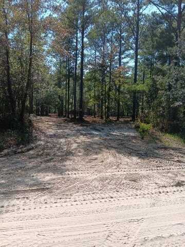 0 Lot 65 Vic Waters Rd. SE, Townsend, GA 31331