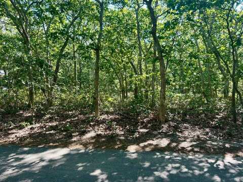 11 Boylston Drive, Edgartown, MA 02539