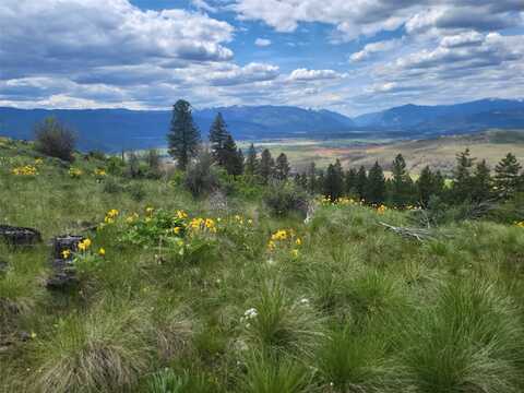 Yosyrian Lane lot: 5, Plains, MT 59859