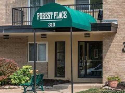 310 Lathrop Avenue, Forest Park, IL 60130