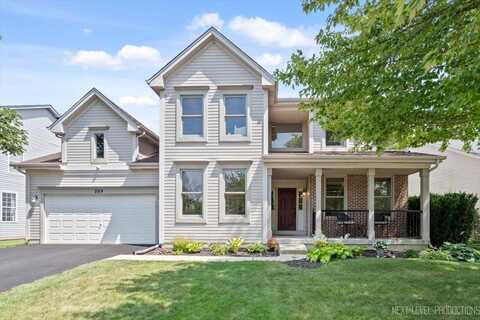 209 Somerset Drive, Sugar Grove, IL 60554