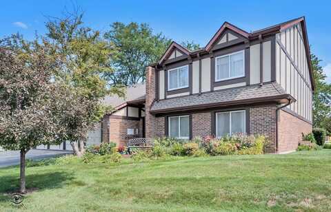 423 Ramblewood Drive, Glen Ellyn, IL 60137