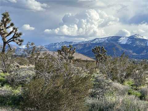 0 La Mesa Road, Pinon Hills, CA 92372