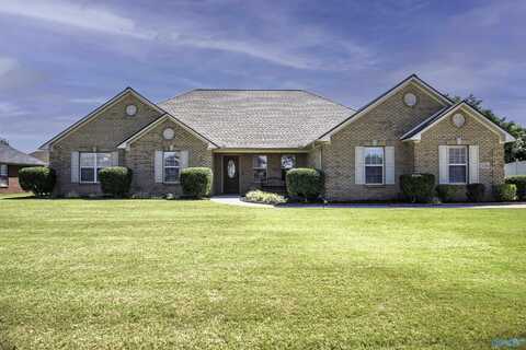 13336 Breckenridge Drive, Athens, AL 35613