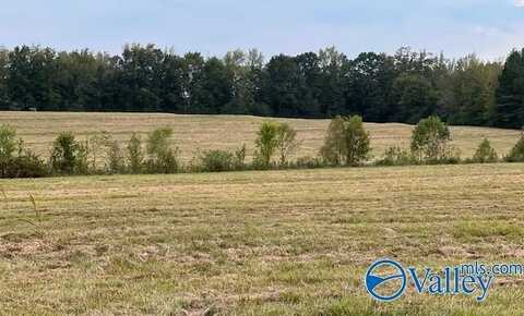 3727 Huckaby Bridge Road, Falkville, AL 35622