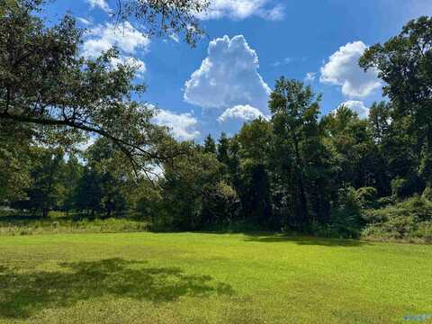 1034 Willoughby Road, Albertville, AL 35951