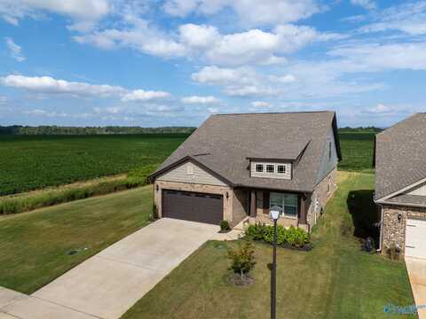 124 Bose Street, Meridianville, AL 35759