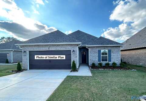 16675 Ted Childs Drive, Athens, AL 35613