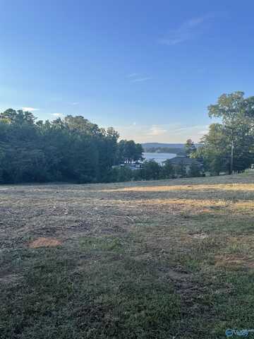 Lot 48 Onondaga Circle, Langston, AL 35755