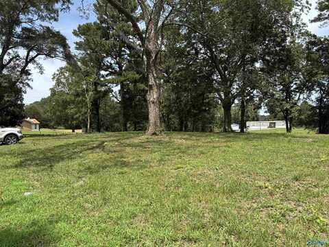 1.52 Ac Needmore Road, Albertville, AL 35950