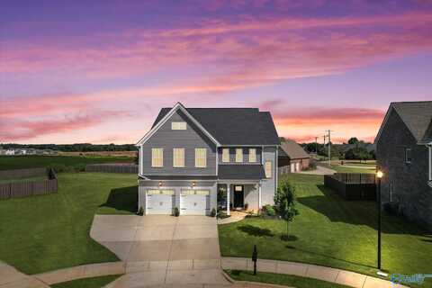 24432 Beacon Circle, Athens, AL 35613