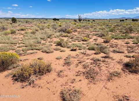 1070 E Rose Circle, Williams, AZ 86046