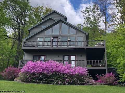 29 Green Lane, Davis, WV 26260