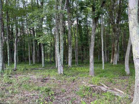 0 Sago Road, French Creek, WV 26218