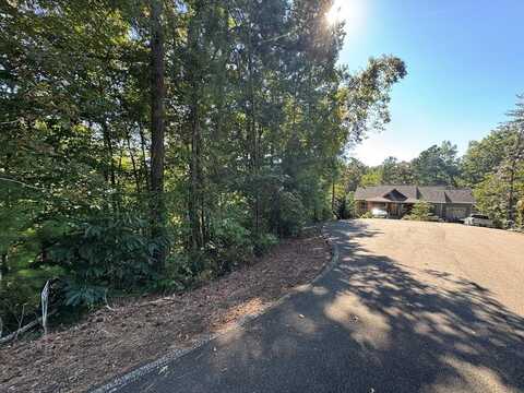 2.5 Ac Mango Lane, Ellijay, GA 30540