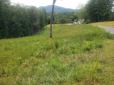 Nottaway Road, Young Harris, GA 30582
