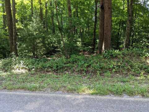3.84 Ac Matheson Cove Road, Hayesville, NC 28904