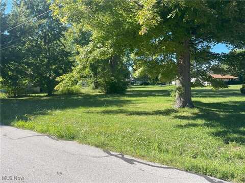 Fremont Avenue, Painesville, OH 44077