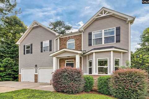715 Soldier Gray, Chapin, SC 29036