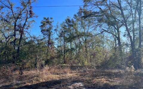 TBD NE HILLSIDE TER, Lee, FL 32052