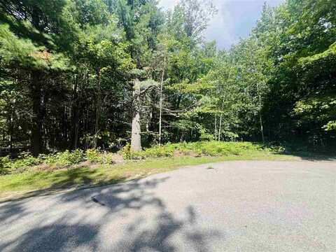 8911 Spring Ridge, Petoskey, MI 49770