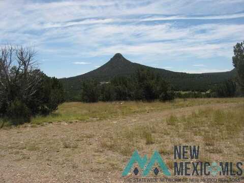3.75 +/- Acres Tract B 2 B, Serafina, NM 87569