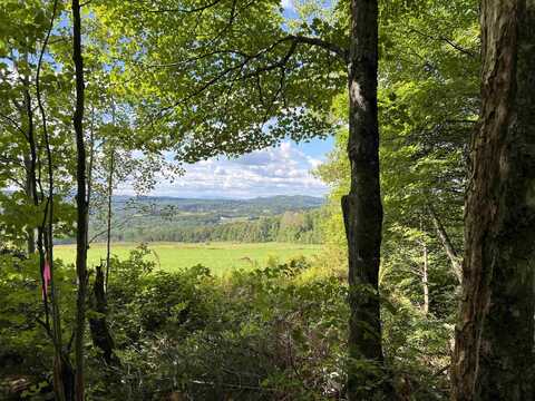 0 Danville Hill Road, Cabot, VT 05647