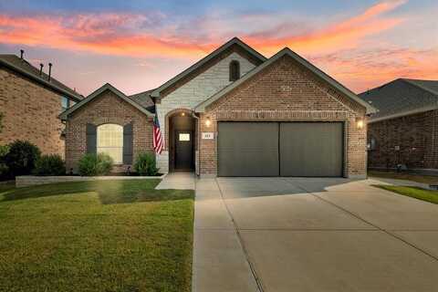 813 Black Hawk Drive, Princeton, TX 75407