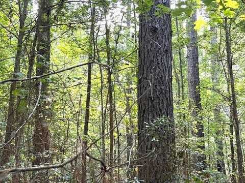 000 Highway 615 Highway, Haynesville, LA 71038