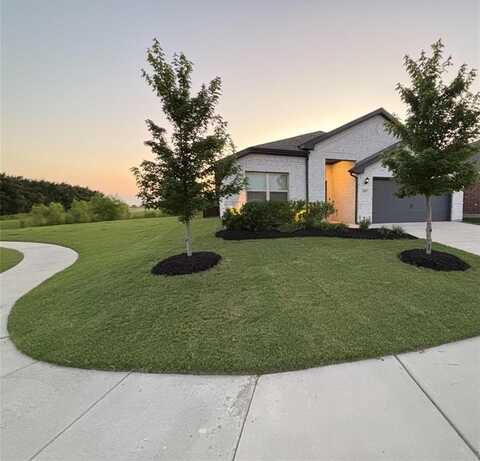 4205 Cordata Drive, Melissa, TX 75454