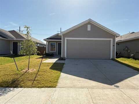 1117 Desert Willow Drive, Princeton, TX 75407