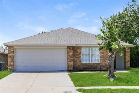 213 Prairie Gulch Drive, Fort Worth, TX 76140