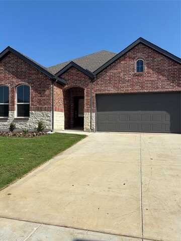 1313 Francesca Drive, Little Elm, TX 75068
