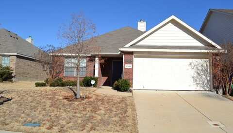 1208 Toledo Bend Drive, Princeton, TX 75407