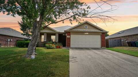 1509 Carrigan Lane, Denton, TX 76207