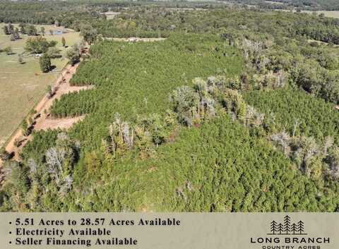 4-8 County Road 3121, Long Branch, TX 75669