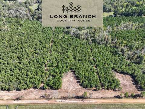 4 County Road 3121, Long Branch, TX 75669