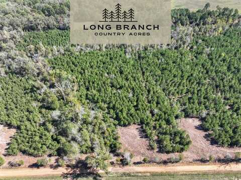 6 County Road 3121, Long Branch, TX 75669