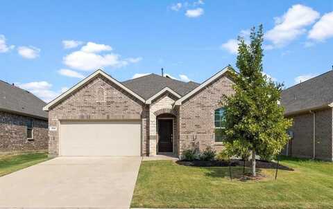 1705 Roadrunner Drive, Little Elm, TX 75068
