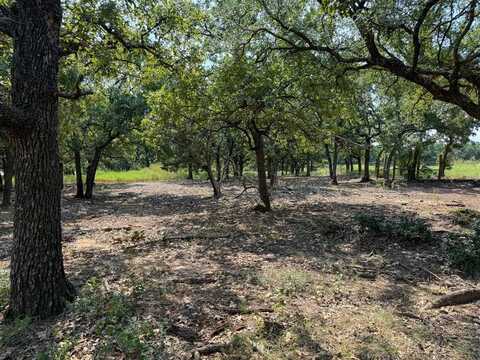 462 Hcr 1430, Covington, TX 76636