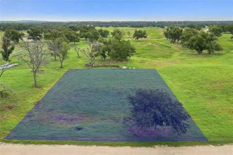 1003 River Ranch Lane, Weatherford, TX 76087