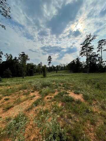 135 Fire Tower Road, Plain Dealing, LA 71064