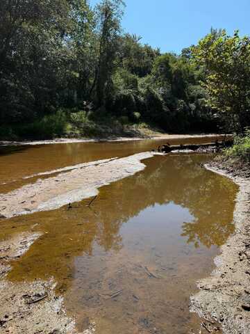 000 Pleasant Ridge Road, Hickory, MS 39332