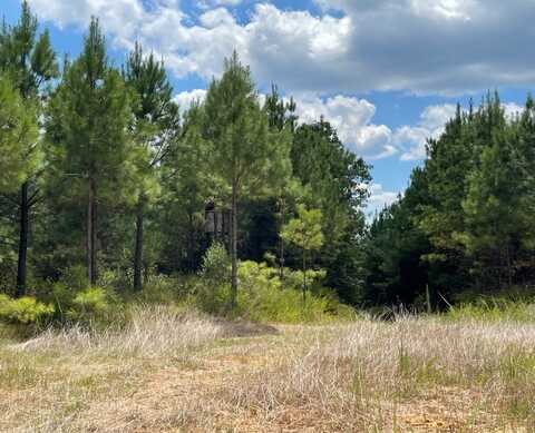 0 Chapel Hill Rd, Grenada, MS 38901