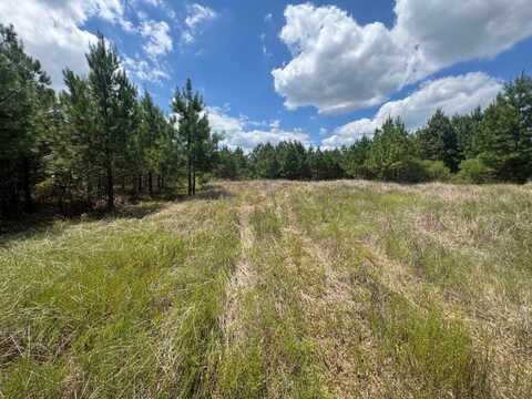 0 Hwy 7, Grenada, MS 38901