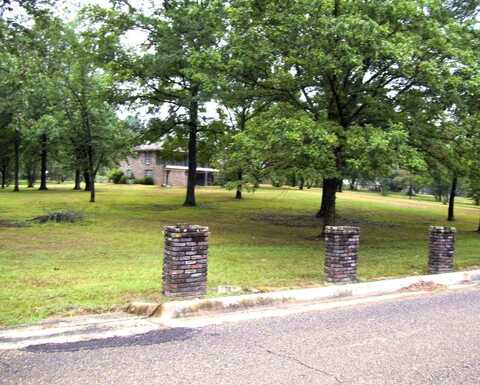 1609 buck wright road, ash, AR 71822