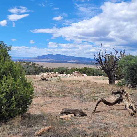 00 Lookout Loop, DATIL, NM 87821