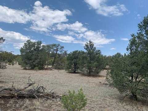 Lot 45 Log Canyon Road, Datil, NM 87821